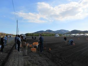 ニンニクを定植している現場で農福連携の実践を学ぶクラブ員