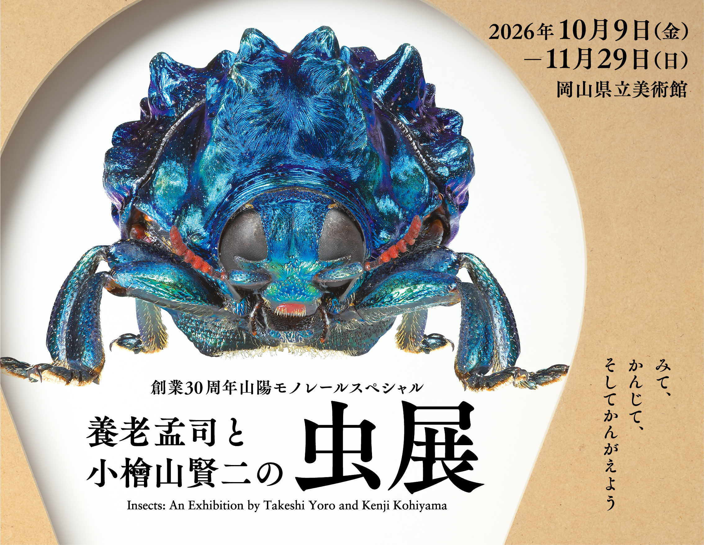 じっくり見れば、新発見。の画像