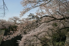 鶴山公園