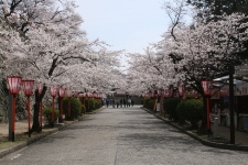 鶴山公園