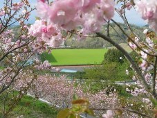 水道公園