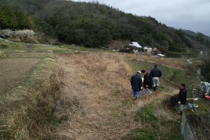 耕作放棄地の現状です