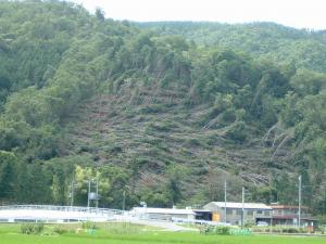 津山市皿復旧前の写真