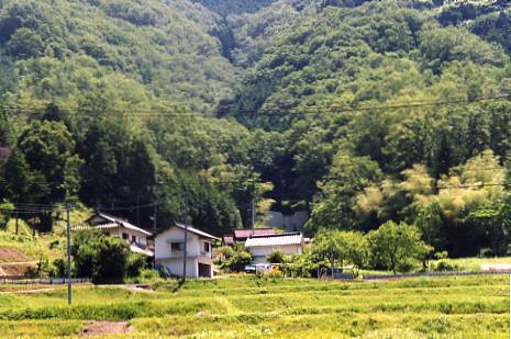 土砂流出防備保安林の例示写真