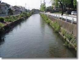 東西用水の写真（南部用水路）