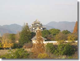 岡山城の写真