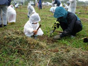 社員、家族等による植樹活動