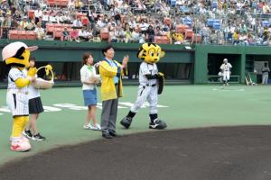 プロ野球公式戦（阪神対西武）１