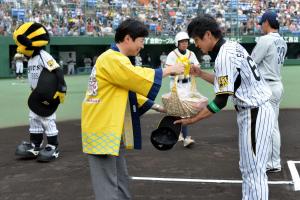 プロ野球公式戦（阪神対西武）２