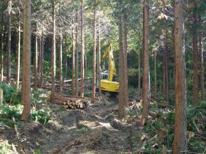 林道沿線の森林作業の写真です