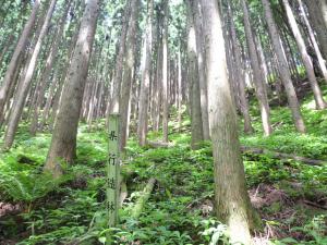 鏡野町内県行造林