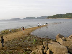 飛島 大飛島 小飛島 笠岡市 笠岡諸島地域 岡山県ホームページ 中山間 地域振興課