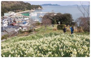 六島全景