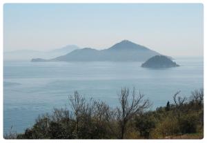 飛島から見た六島