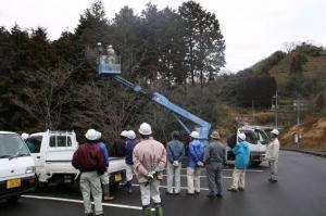 高所作業車等による罹病枝の除去（１）