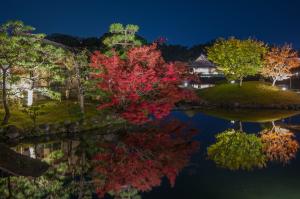 岡山後楽園「秋の幻想庭園」の後楽園内の写真