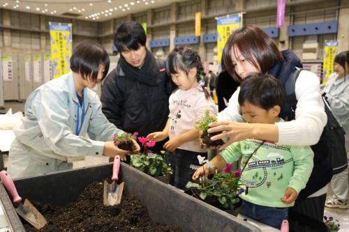 寄せ植え