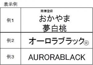 商標の表示例