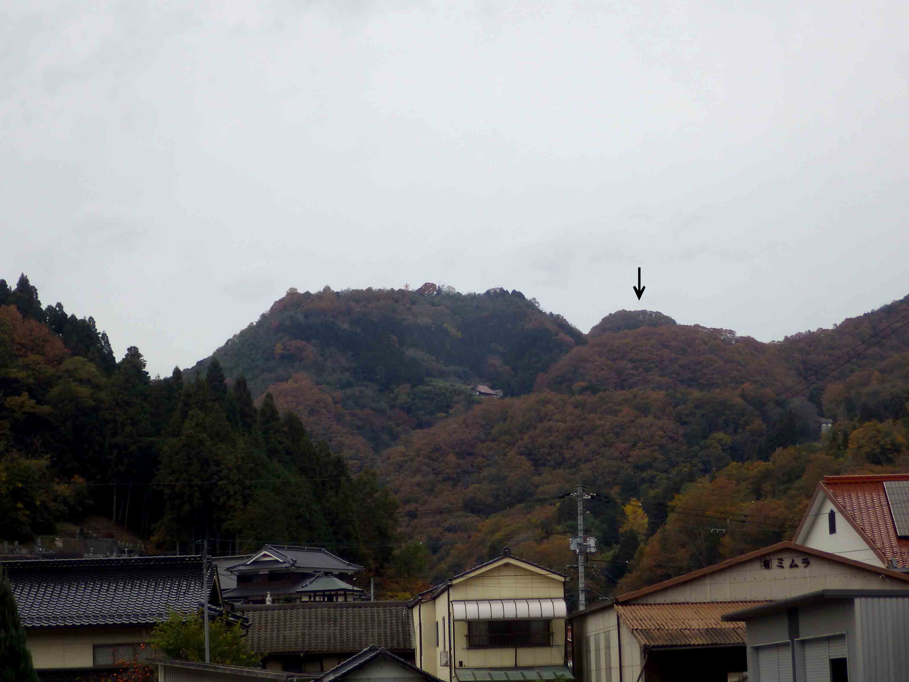 国吉城跡遠景