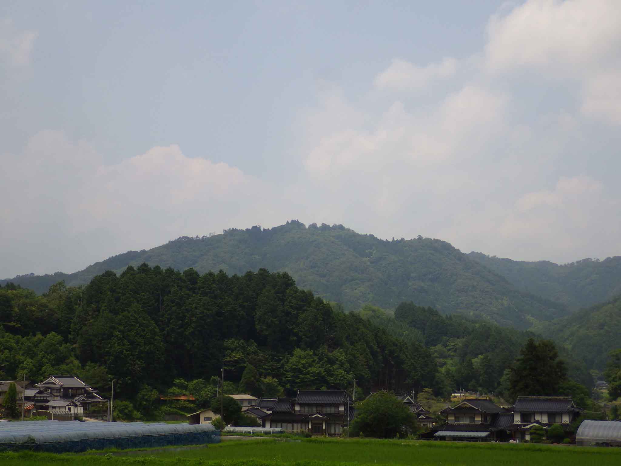 岩屋城跡遠景