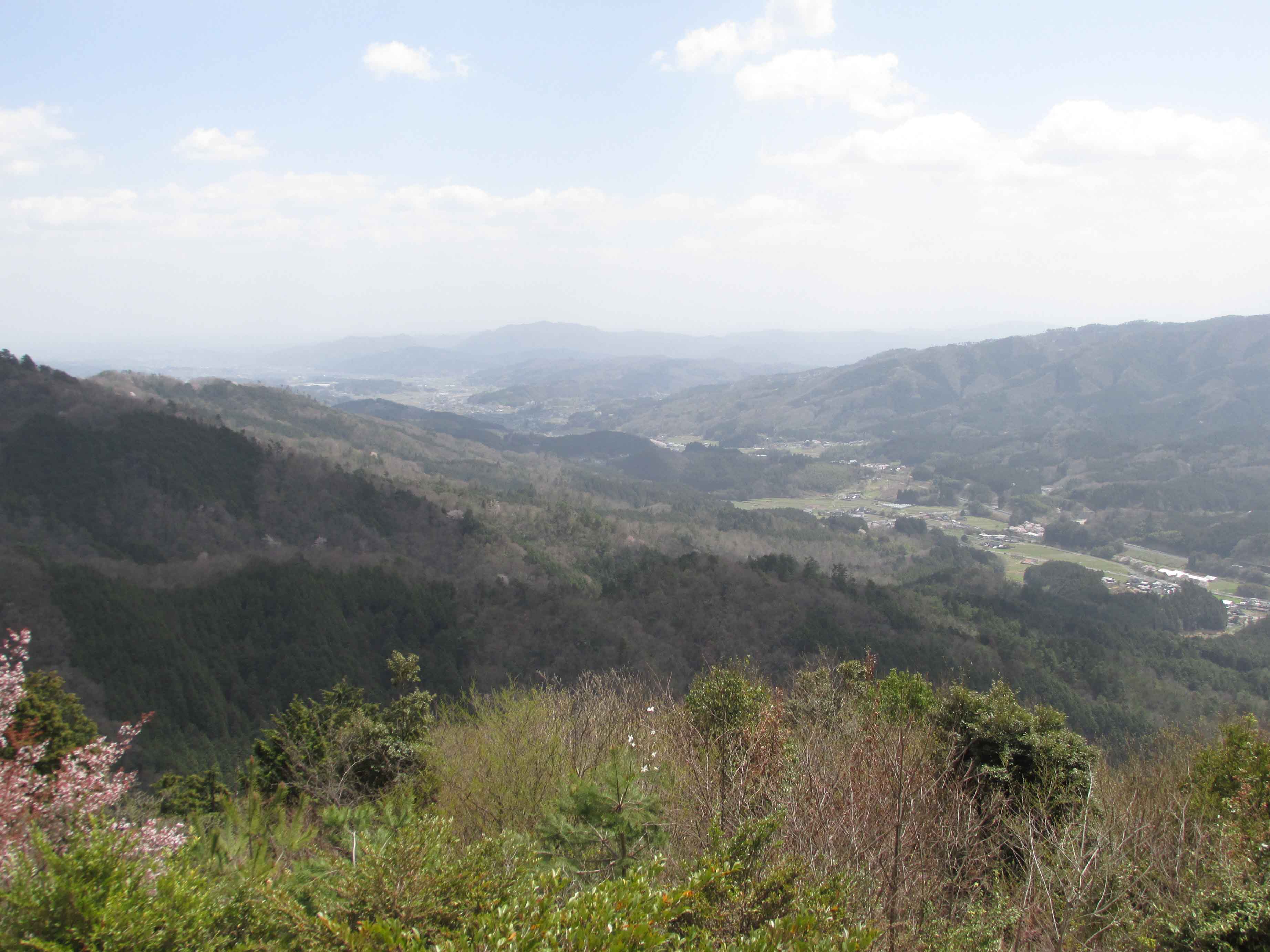 岩屋城跡から津山市街地方面を望む