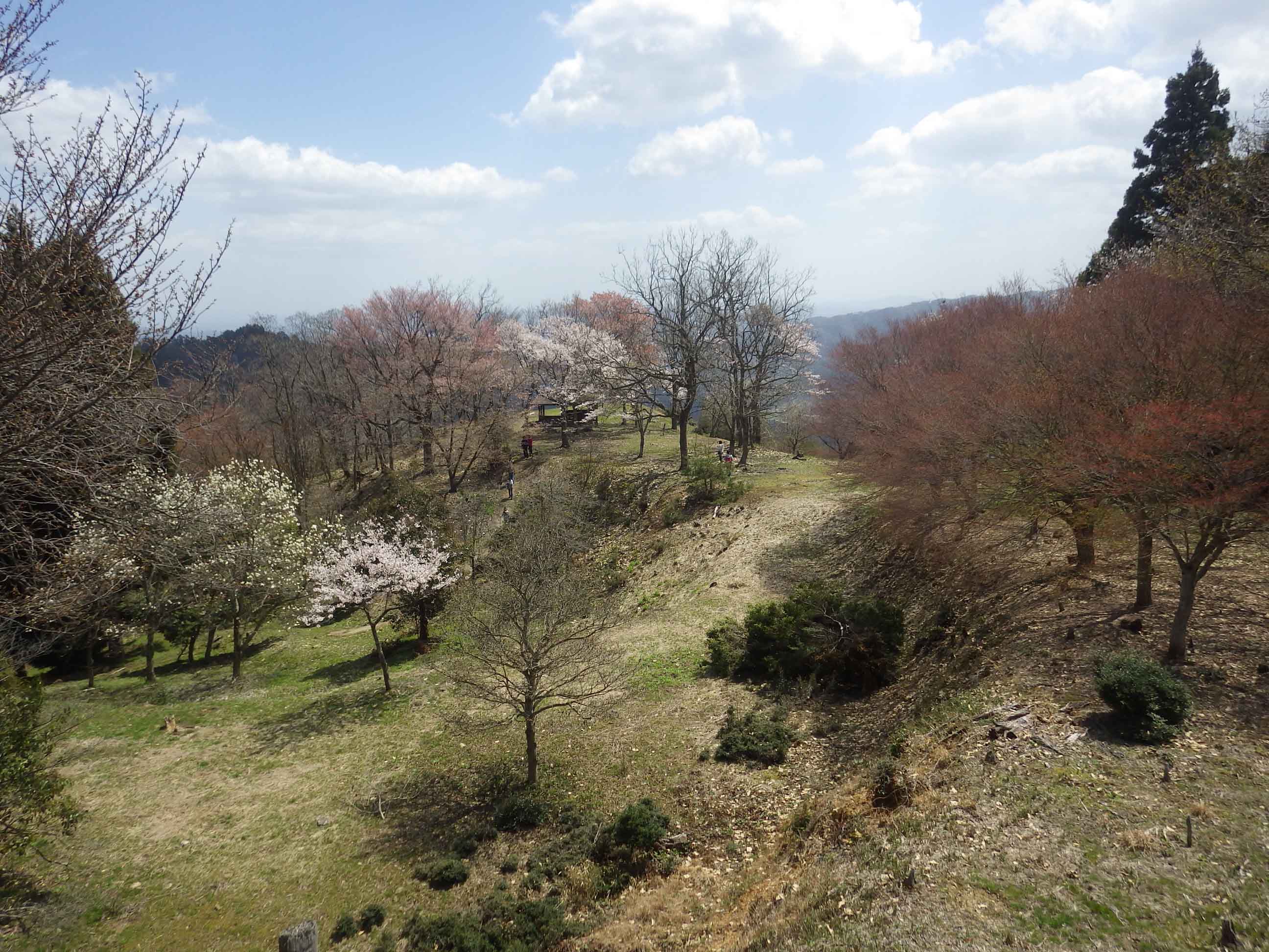 主郭から見た馬場