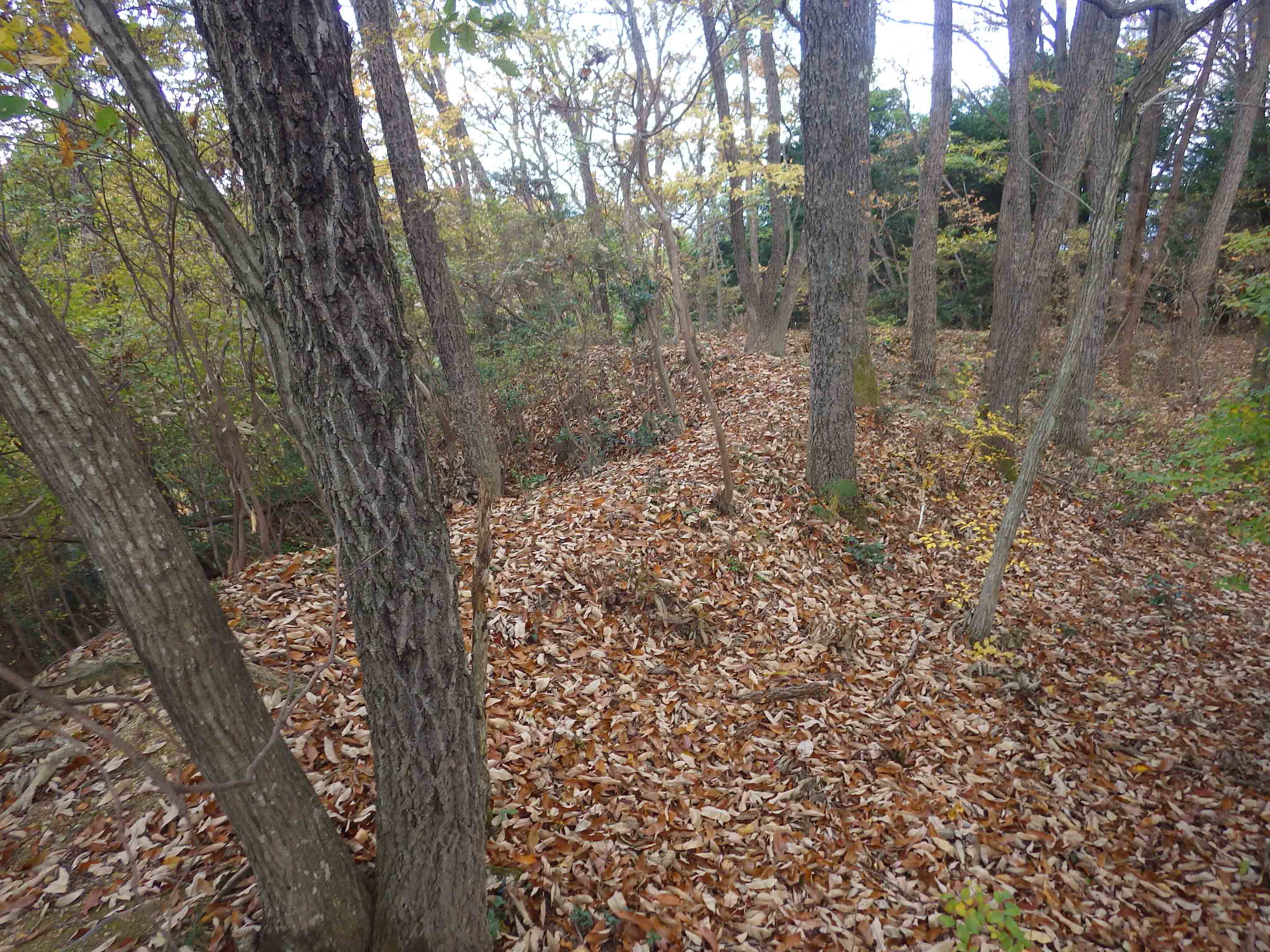 津山市荒神山城跡の折れのある土塁