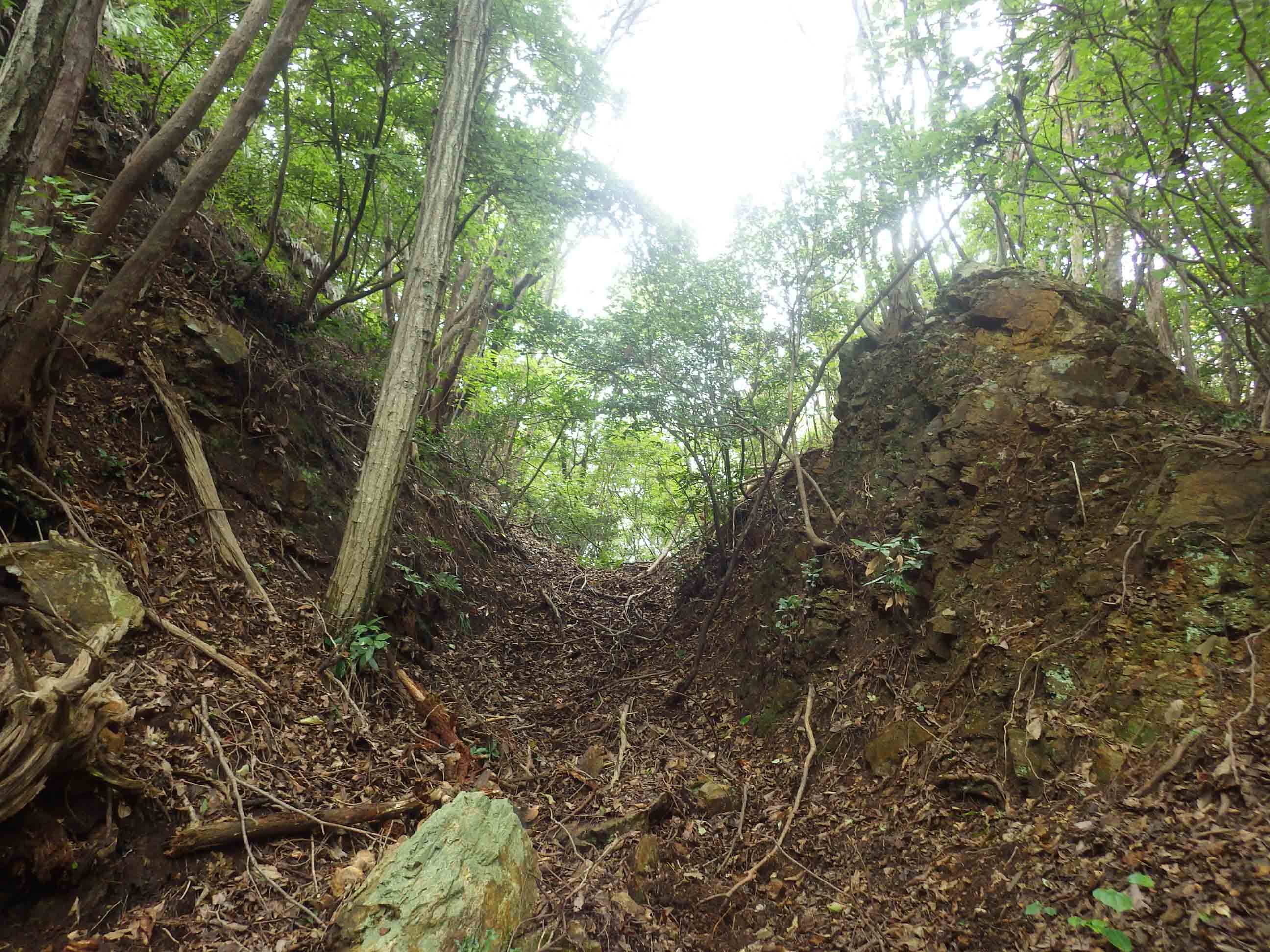 高屋城跡に設けられた５重の堀切の１つ（南東から）