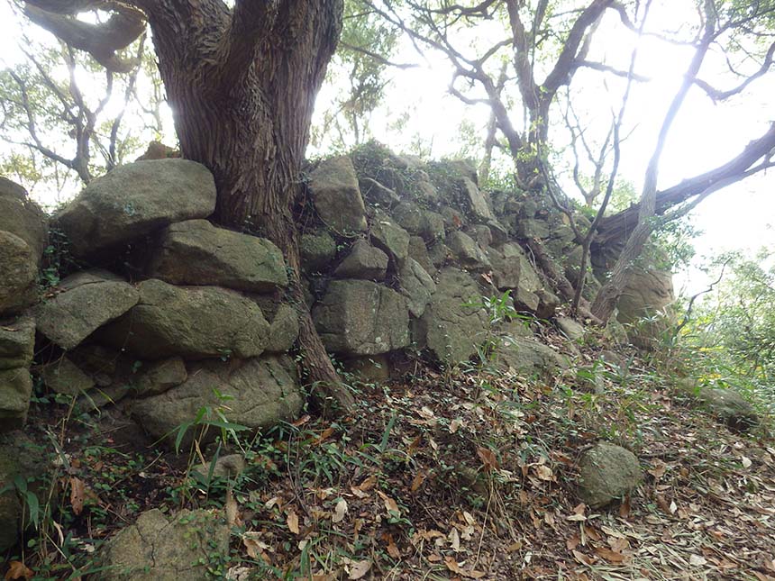 真鍋城跡の石垣