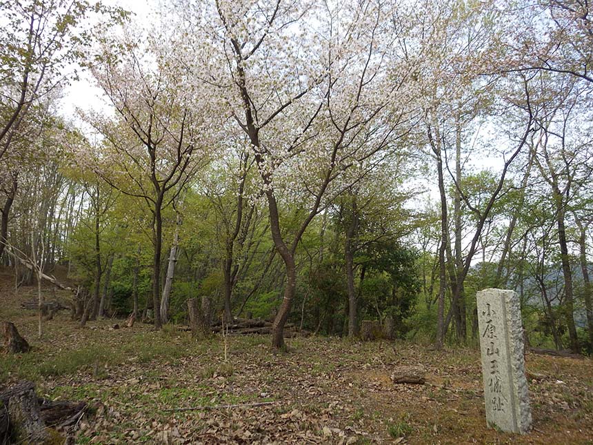 春先に訪れた小原山王山城跡（美作市）