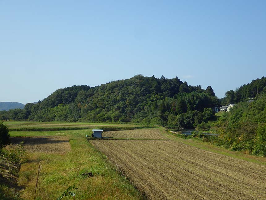 No.10尼ヶ城（北東から）