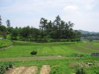 こうもり塚古墳全景