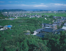 亀山遺跡から見た玉島平野