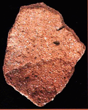 南溝手遺跡　縄文時代後期の籾のついた土器