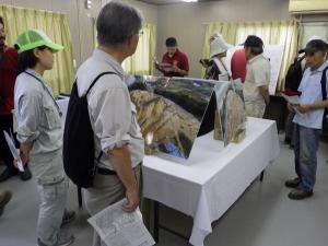 展示の様子