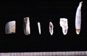 南溝手遺跡　管玉とメノウ製の錐状石器