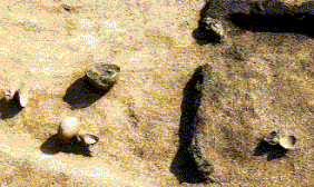 竪穴住居出土の製塩土器
