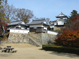 備中松山城（国指定重要文化財）