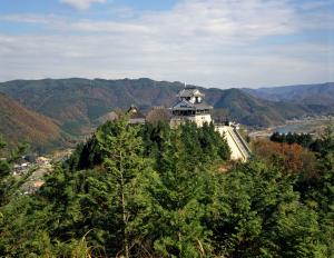 茶臼山城の様子