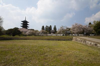 備中国分寺の南門付近の様子で、写真左に五重塔が見えます。