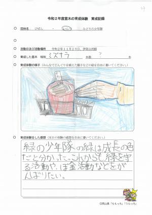 育成体験をした感想