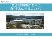 特別支援学級における自立活動の指導について