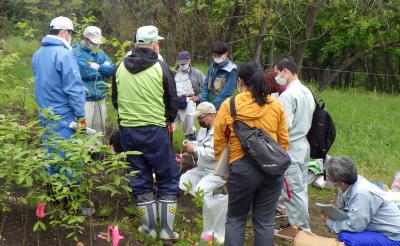 接ぎ木研修の様子