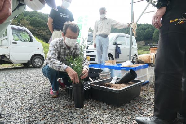 苗木（ヒノキ（少花粉）及びコナラ）育成指導