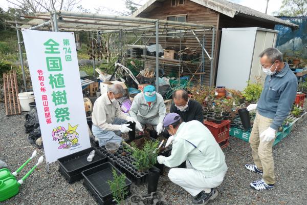 苗木（ヒノキ（少花粉）及びコナラ）育成体験