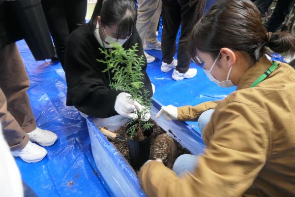 苗木（ヒノキ（少花粉）及びコナラ）育成体験