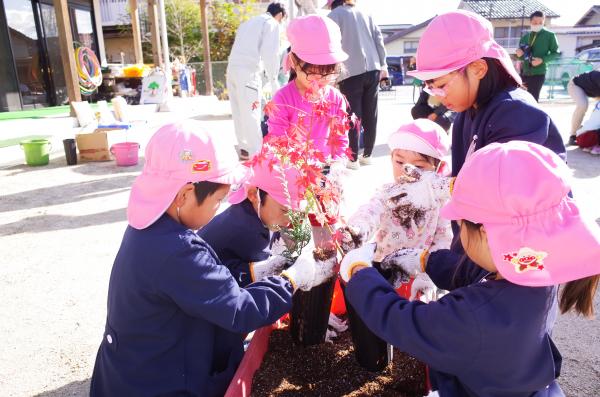 苗木（ヒノキ（少花粉）及びコナラ）育成体験