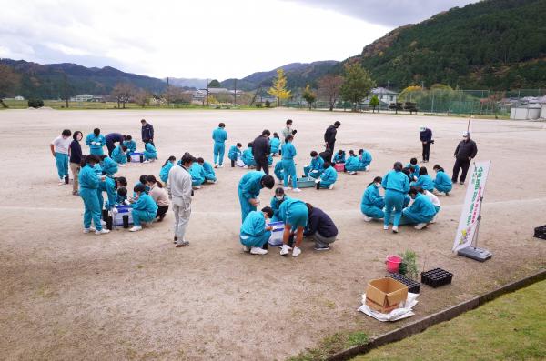 苗木（ヒノキ（少花粉）及びコナラ）育成体験