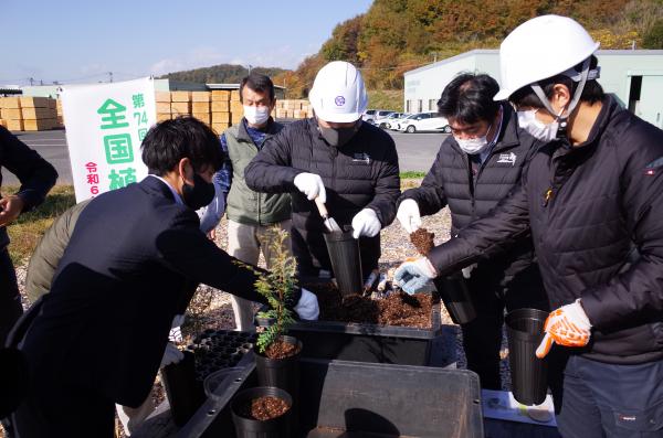 苗木（ヒノキ（少花粉）及びコナラ）育成体験