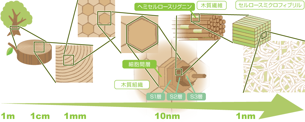 セルロース・ナノファイバー概念図